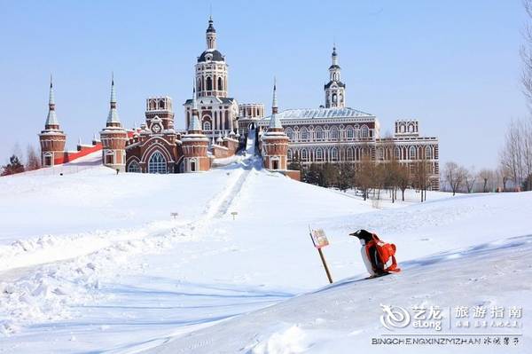 在大雪过后的伏尔加庄园，邂逅“出逃”的网红企鹅