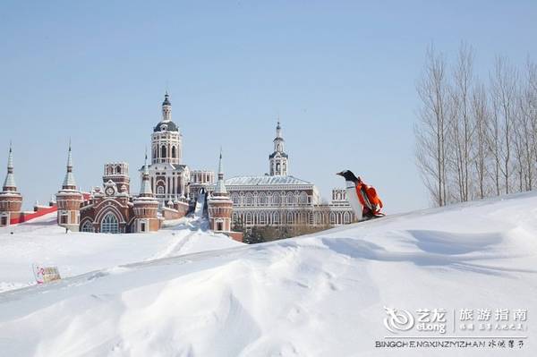 在大雪过后的伏尔加庄园，邂逅“出逃”的网红企鹅