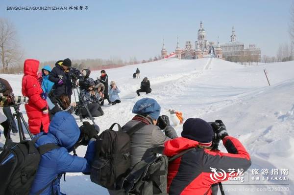 在大雪过后的伏尔加庄园，邂逅“出逃”的网红企鹅