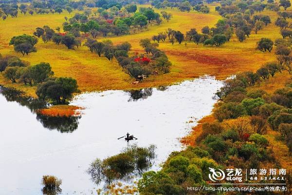 走进黑龙江最具人气十大湿地，醉眼爽心深呼吸！