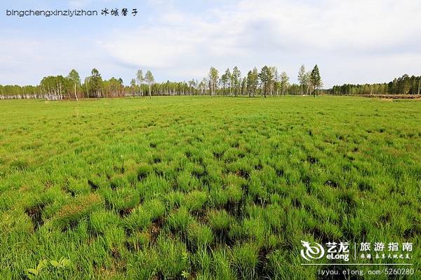 走进黑龙江最具人气十大湿地，醉眼爽心深呼吸！