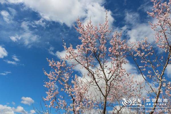 游镜泊湖赏北国风光，高山平湖胜江南