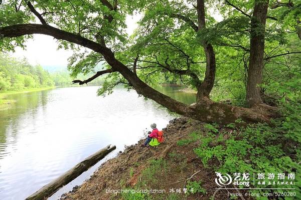 走进黑龙江最具人气十大湿地，醉眼爽心深呼吸！